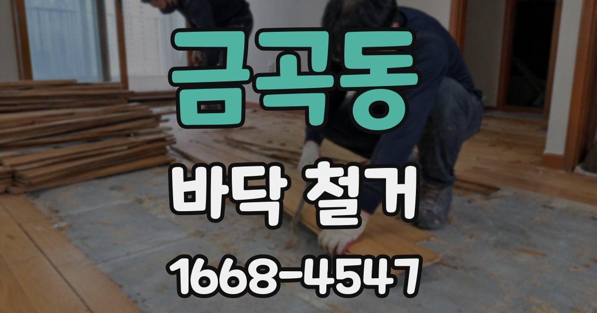 금곡동 바닥 철거