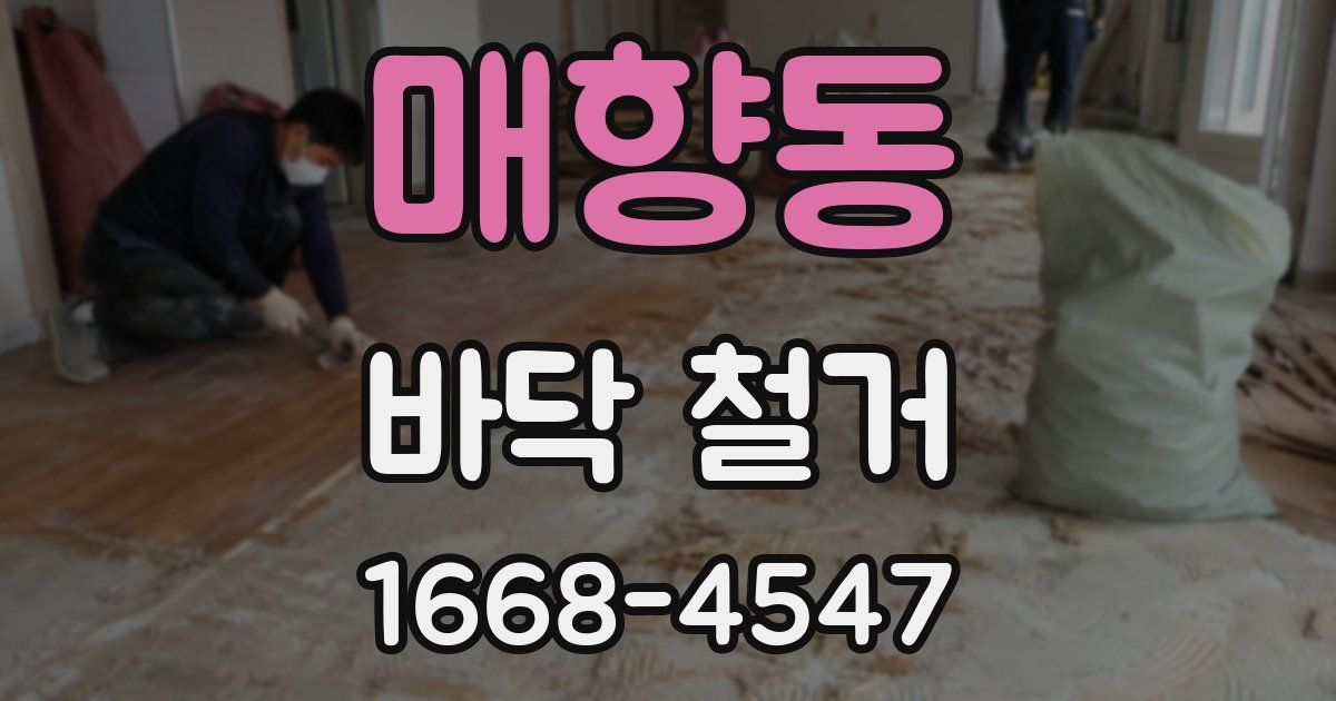 매향동 바닥 철거