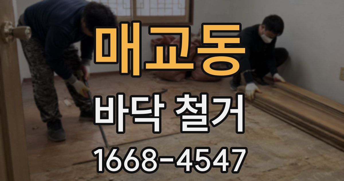 매교동 바닥 철거