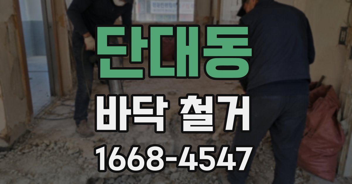 단대동 바닥 철거