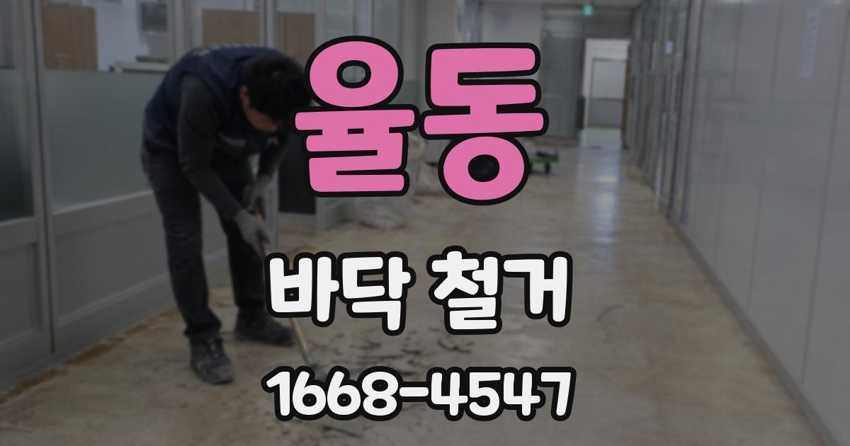 율동 바닥 철거