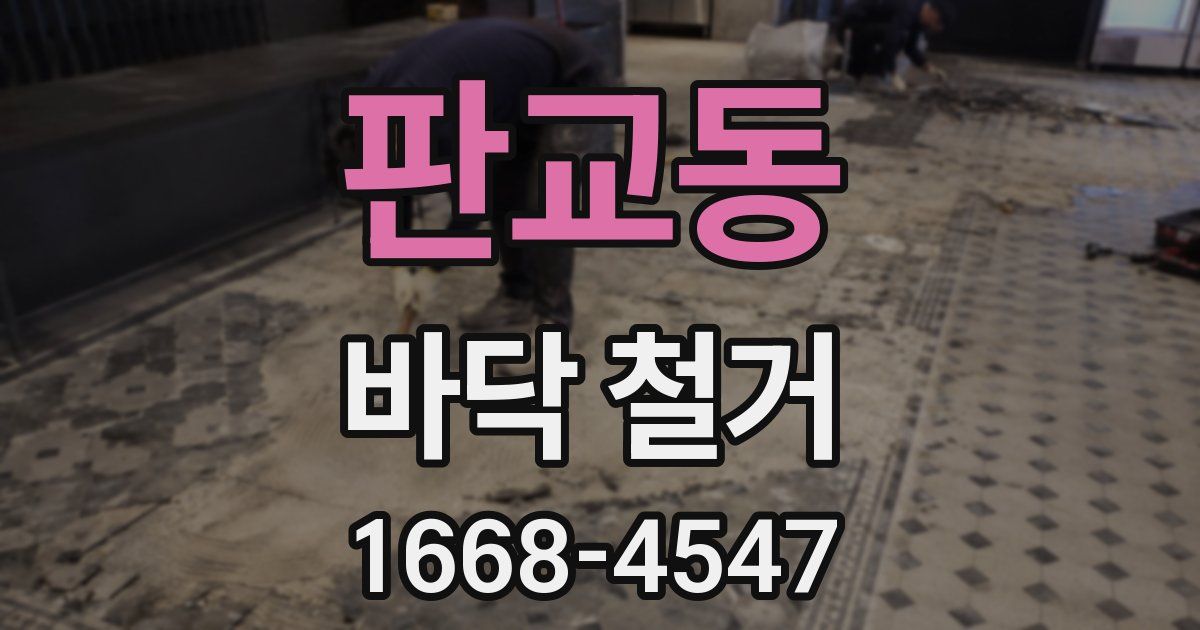 판교동 바닥 철거