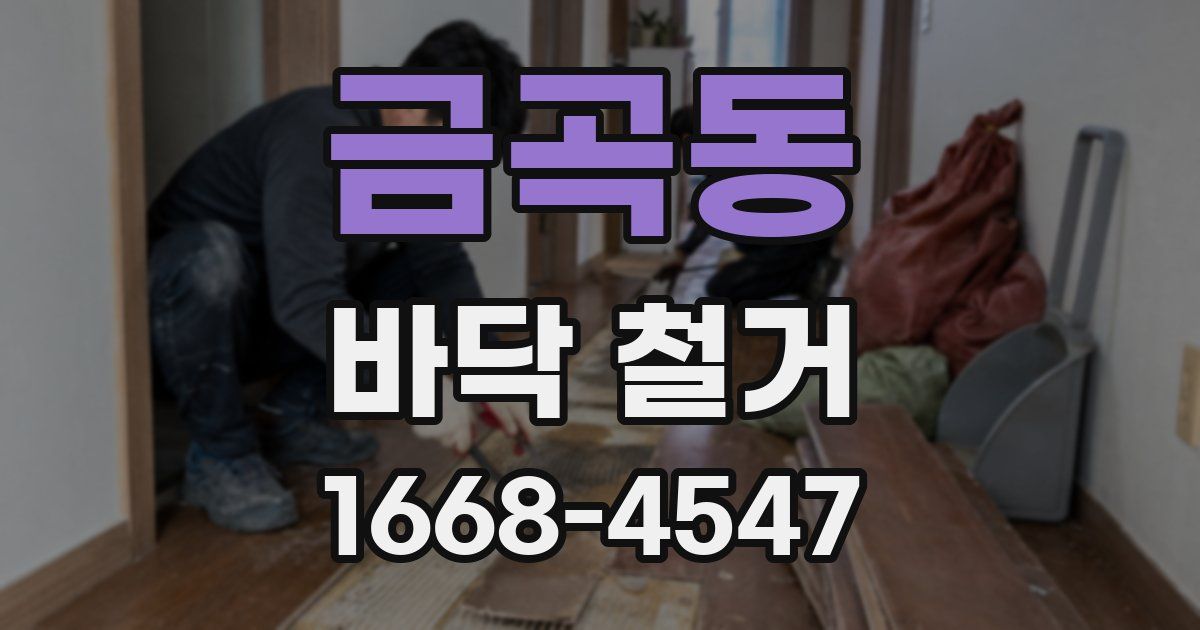 금곡동 바닥 철거
