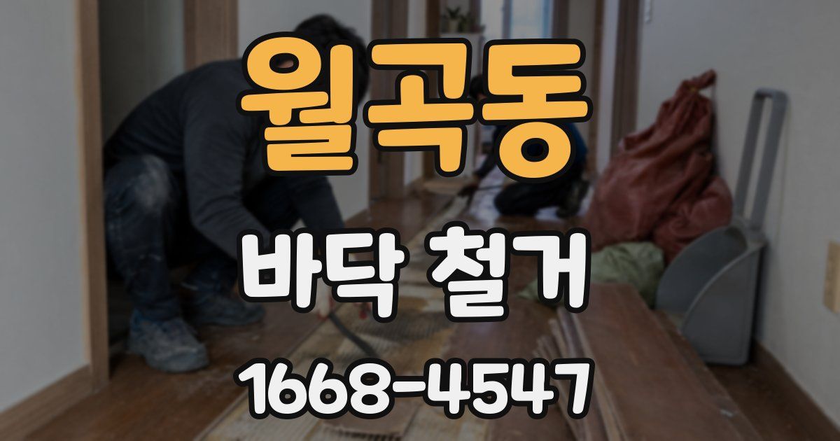 월곡동 바닥 철거