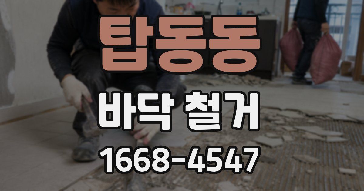 탑동동 바닥 철거