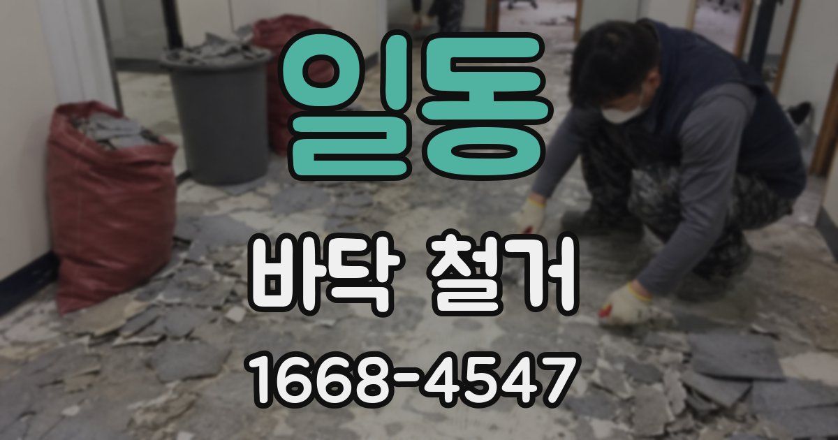일동 바닥 철거