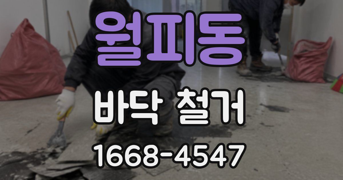 월피동 바닥 철거