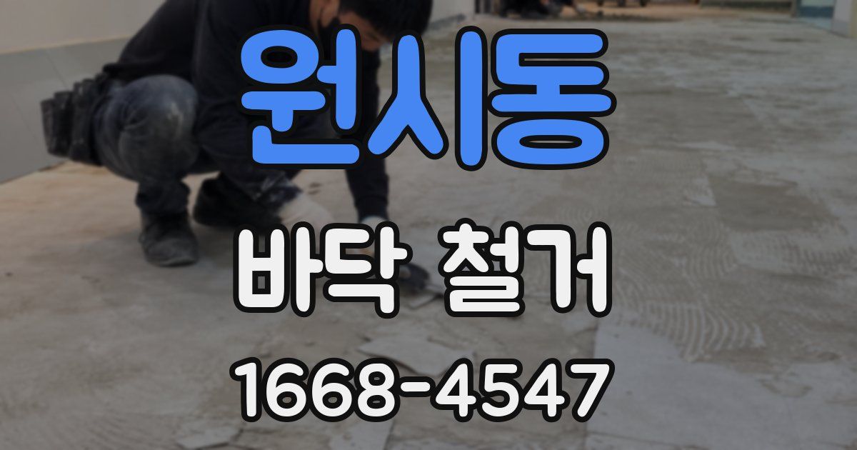 원시동 바닥 철거