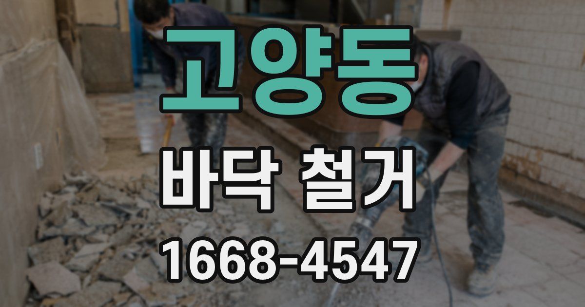고양동 바닥 철거