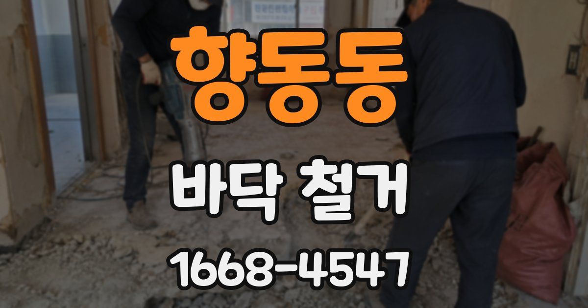 향동동 바닥 철거