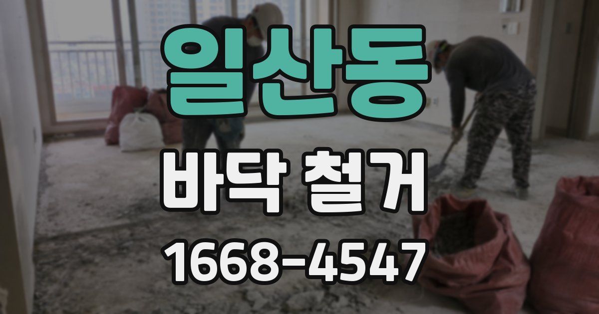 일산동 바닥 철거