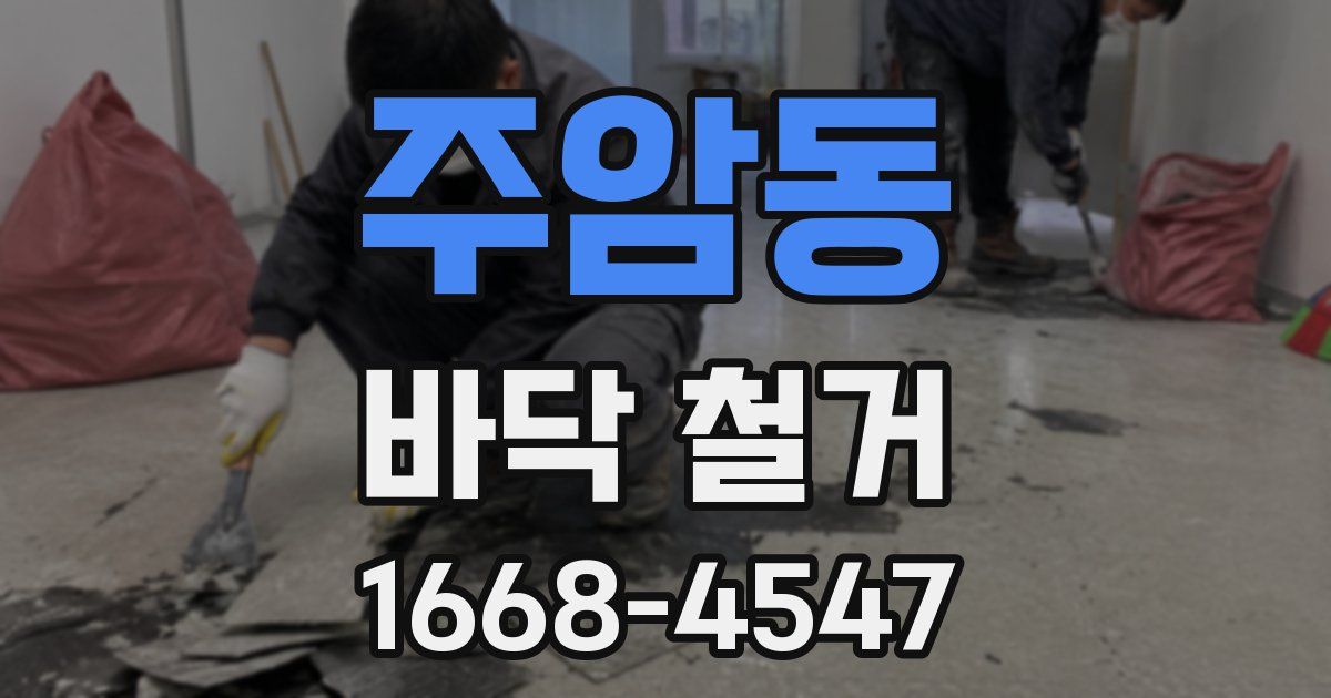 주암동 바닥 철거