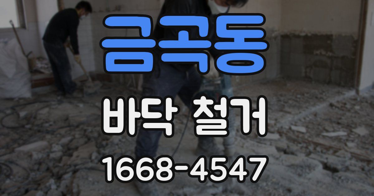 금곡동 바닥 철거
