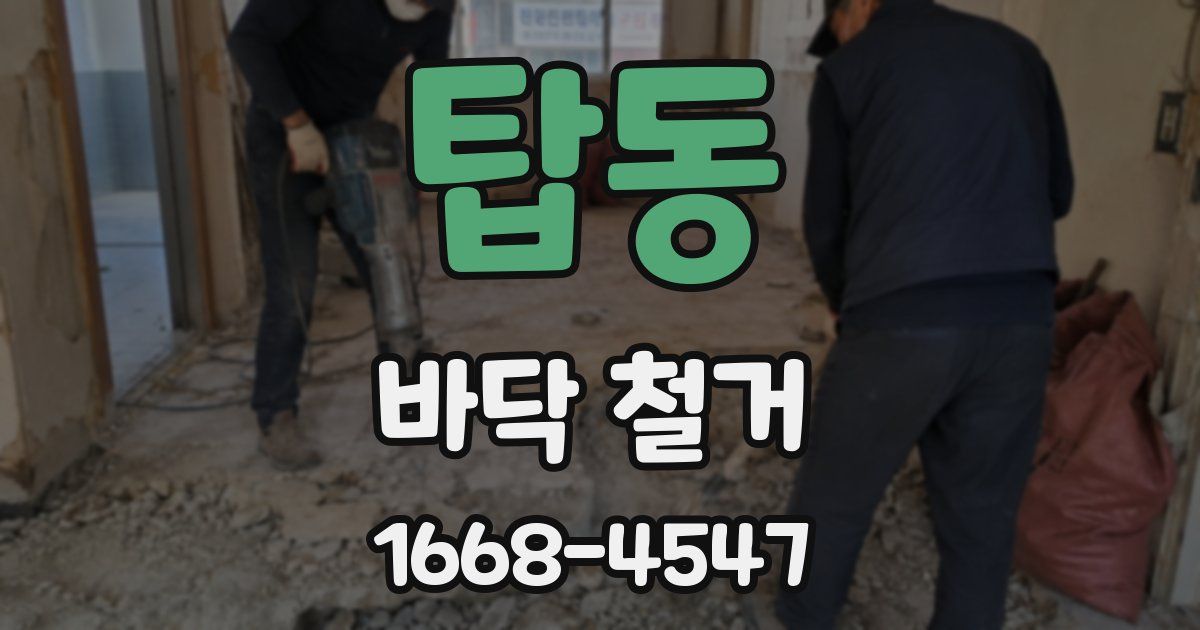 탑동 바닥 철거