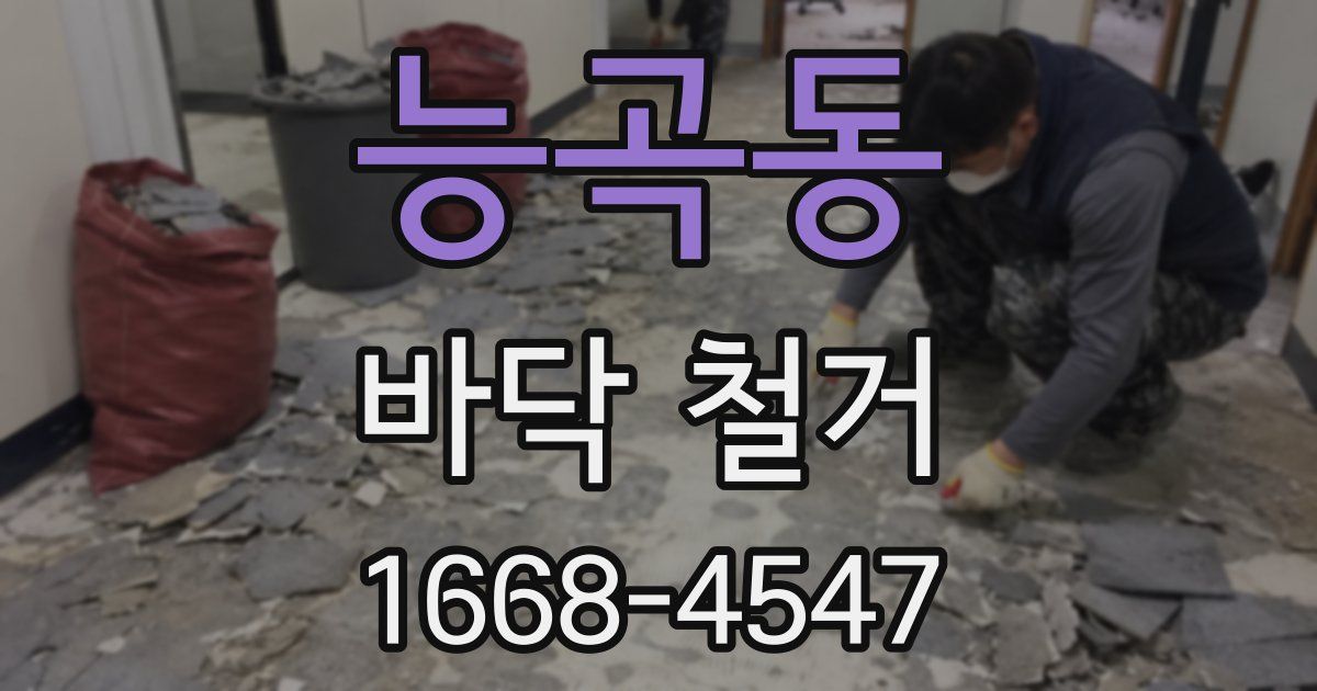 능곡동 바닥 철거