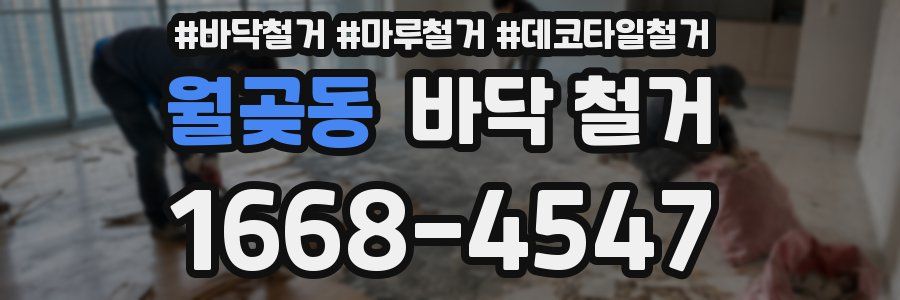 월곶동 바닥 철거