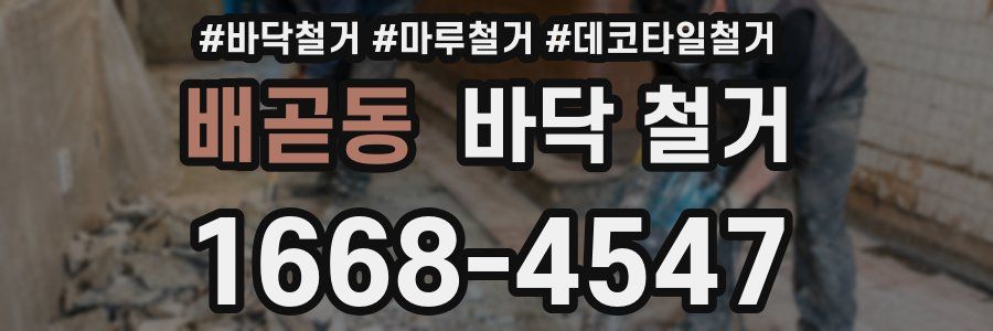 배곧동 바닥 철거