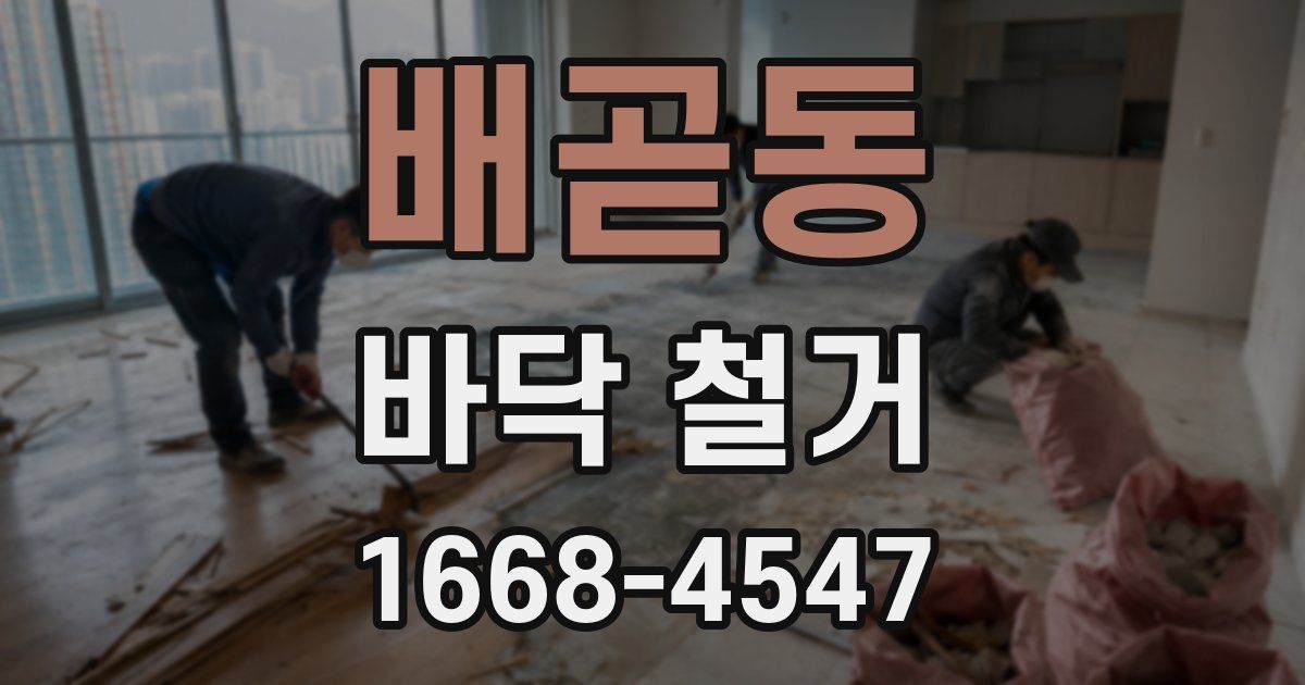 배곧동 바닥 철거