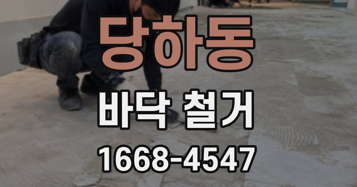 당하동 바닥 철거