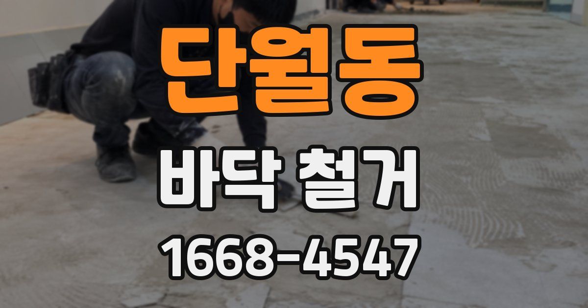 단월동 바닥 철거