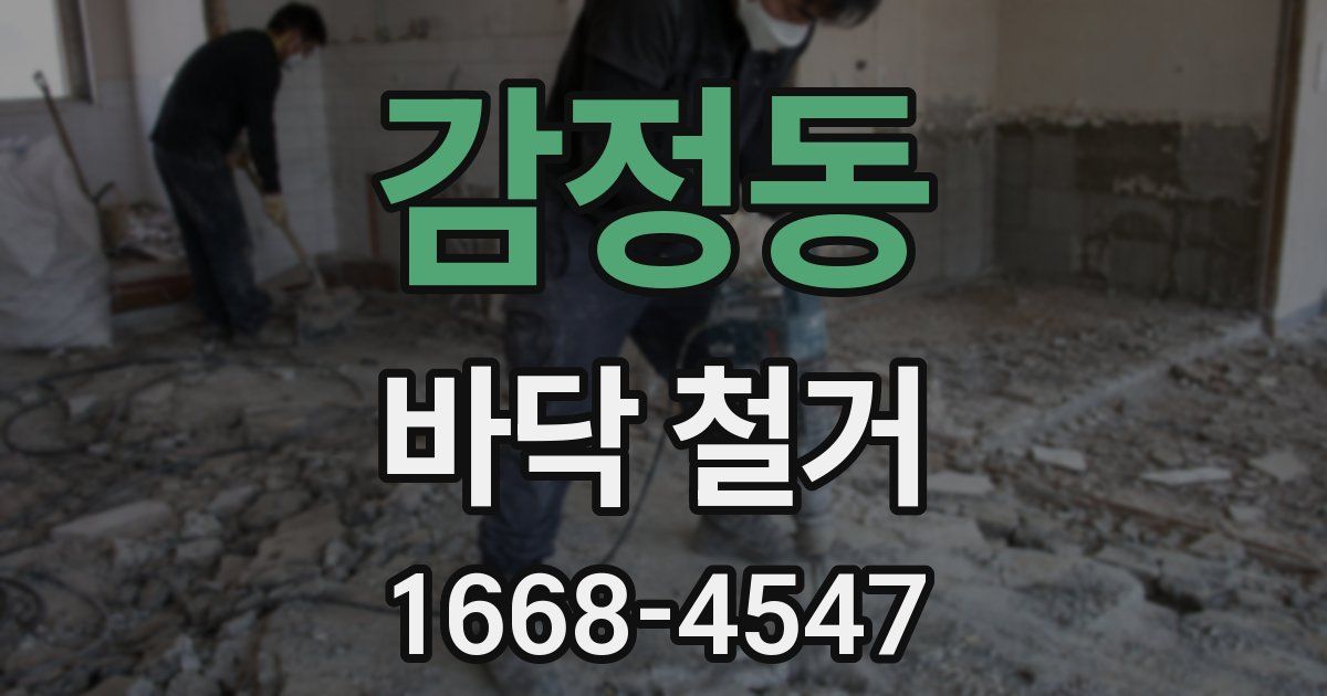 감정동 바닥 철거