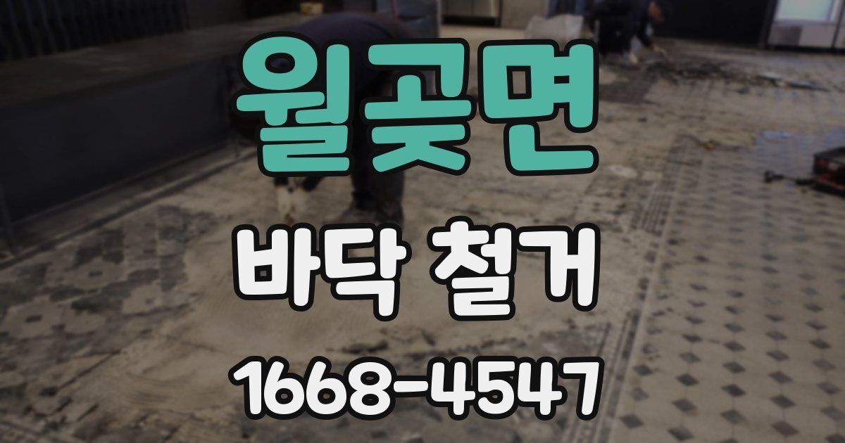 월곶면 바닥 철거