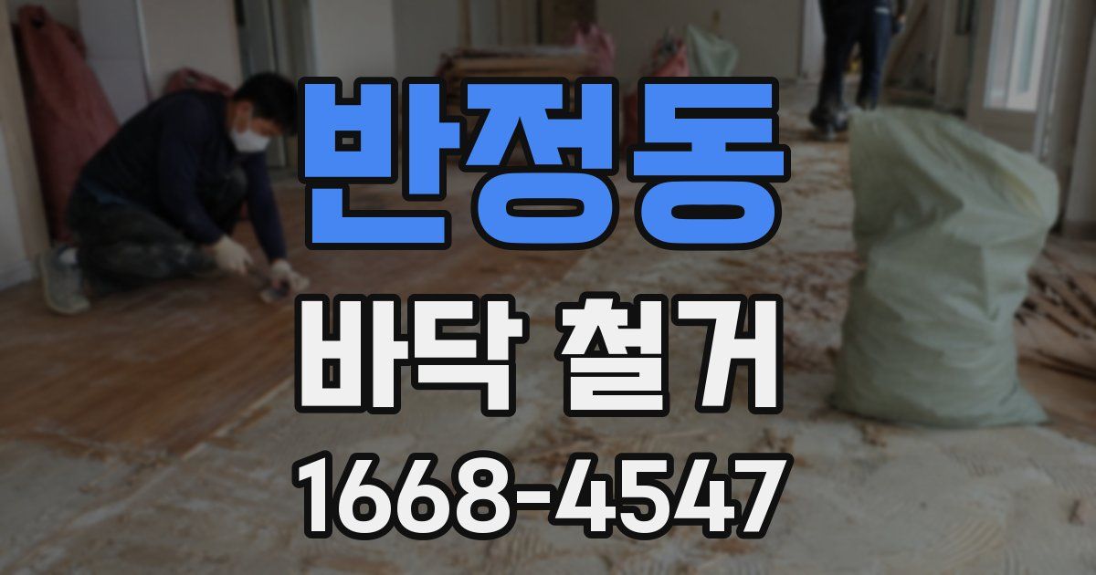 반정동 바닥 철거