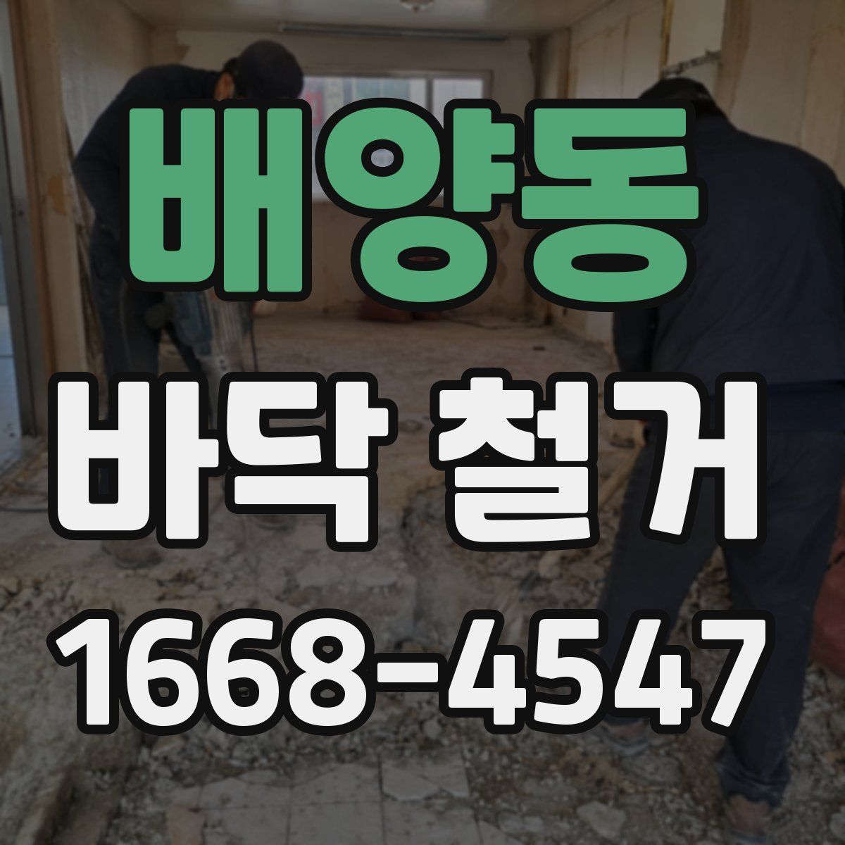 배양동 바닥 철거
