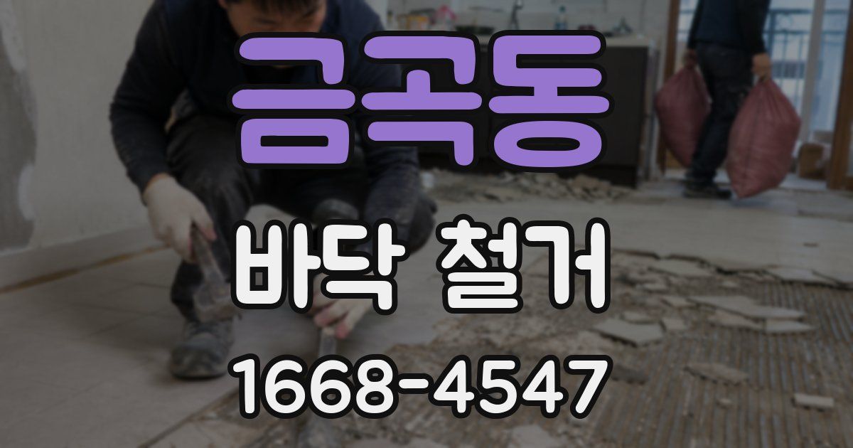 금곡동 바닥 철거