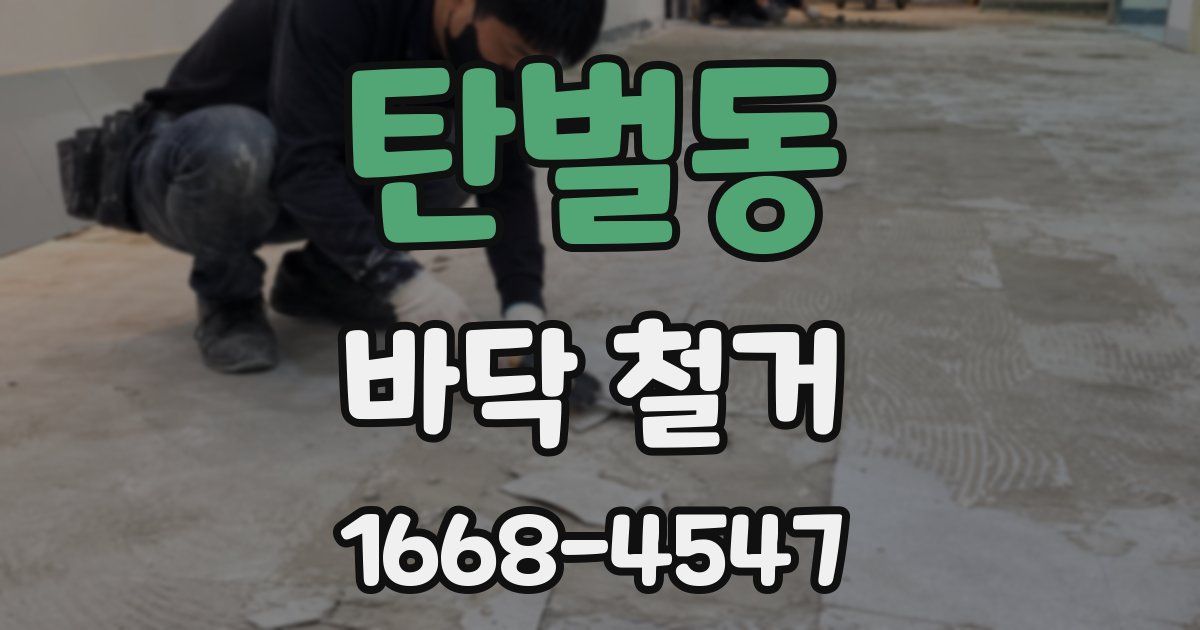 탄벌동 바닥 철거