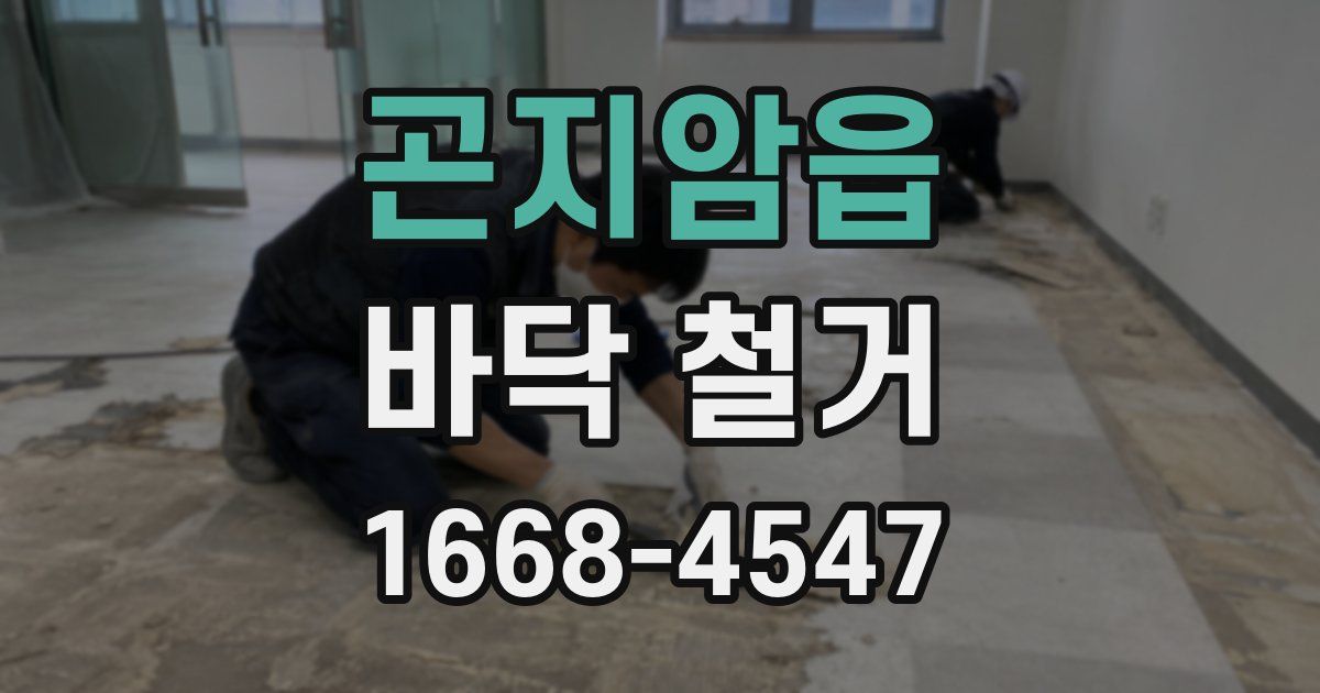 곤지암읍 바닥 철거