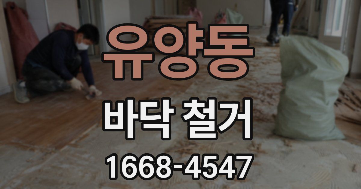 유양동 바닥 철거