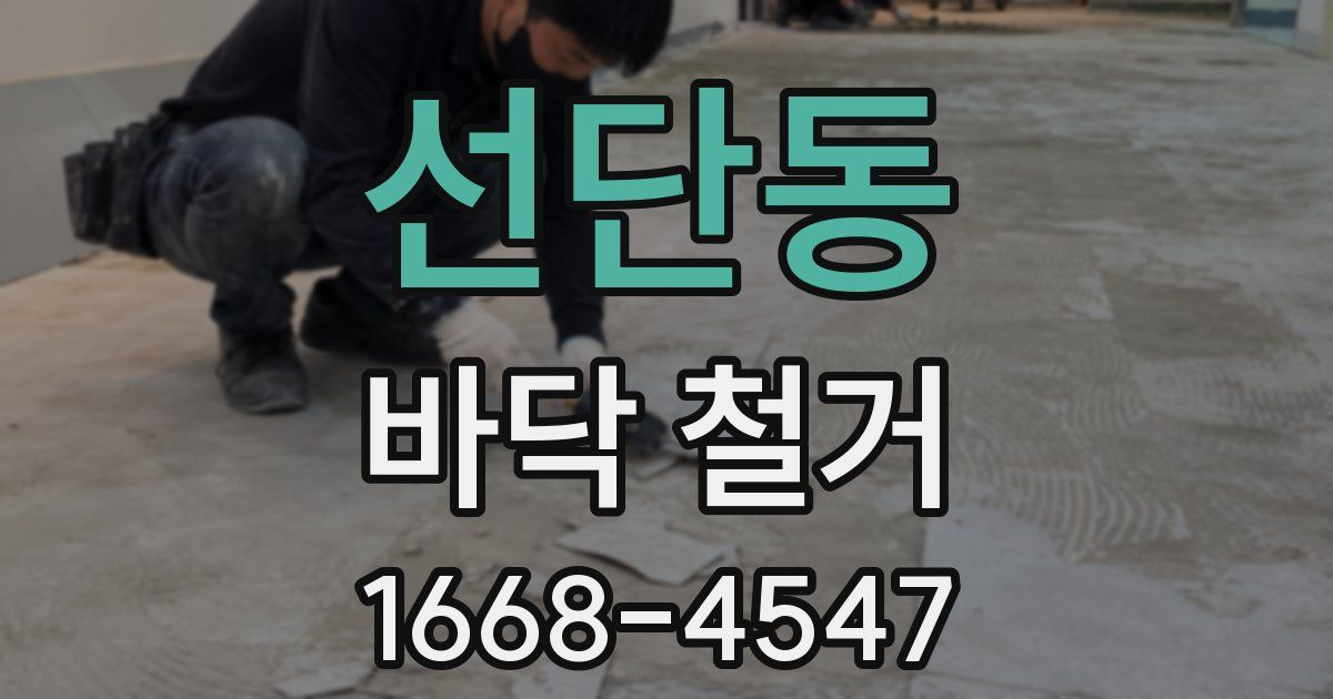 선단동 바닥 철거