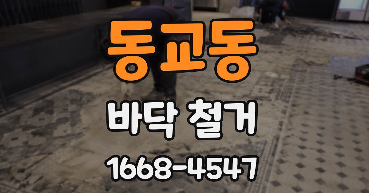 동교동 바닥 철거