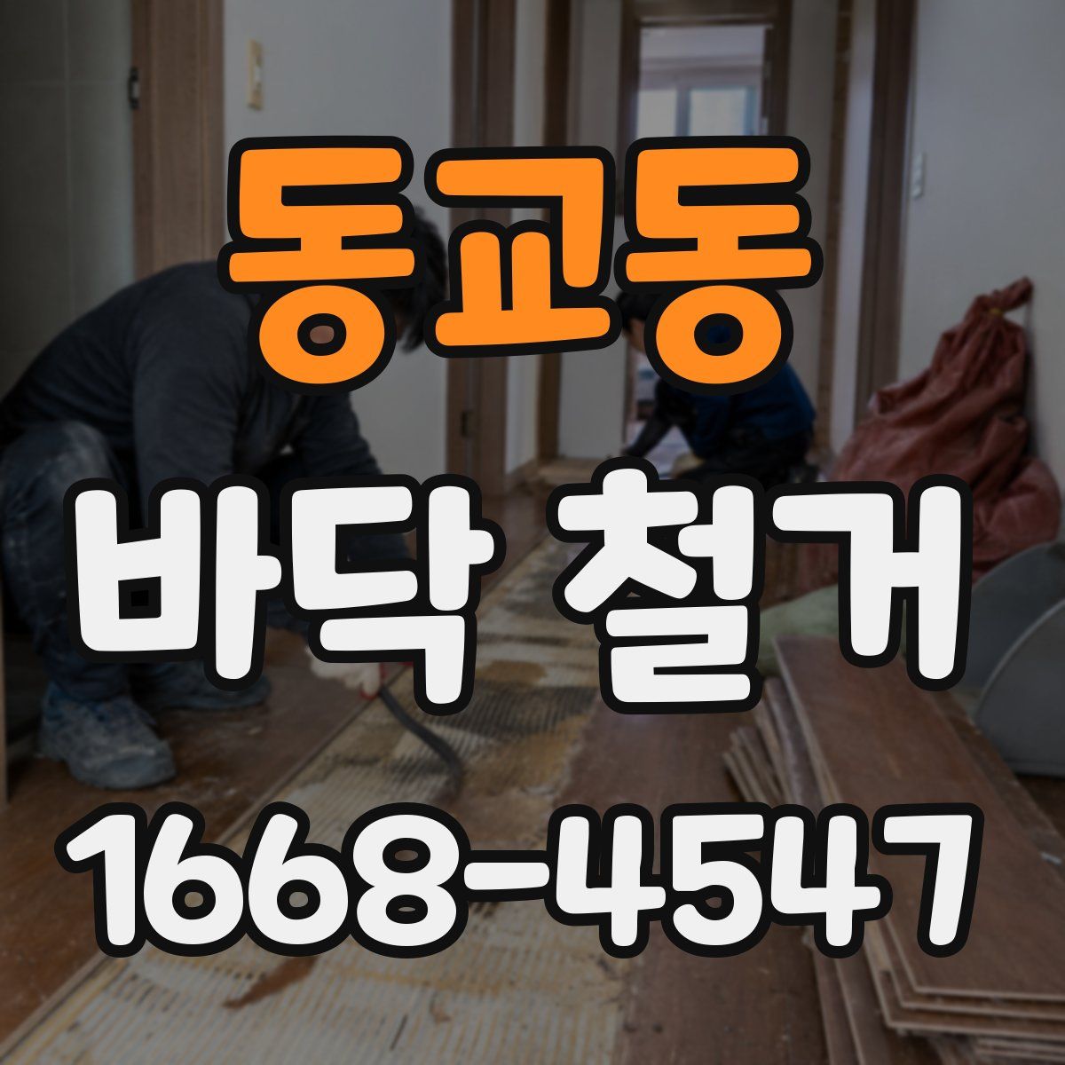 동교동 바닥 철거