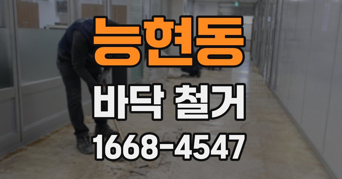 능현동 바닥 철거