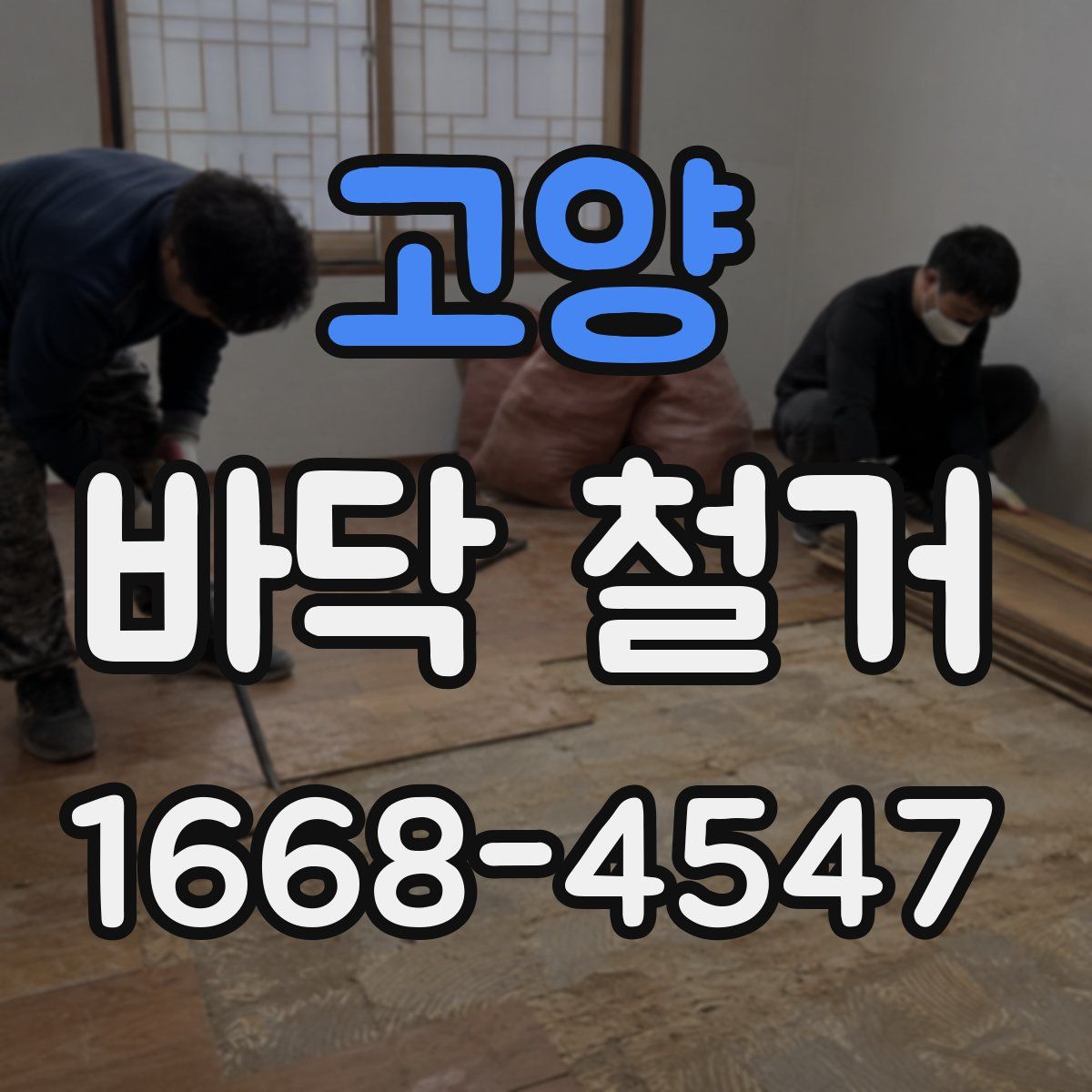 고양 바닥 철거