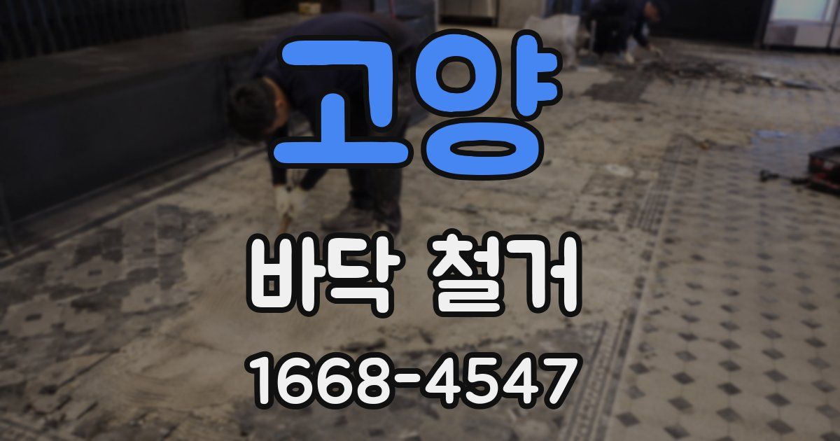 고양 바닥 철거