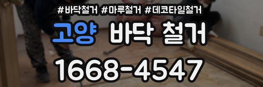 고양 바닥 철거