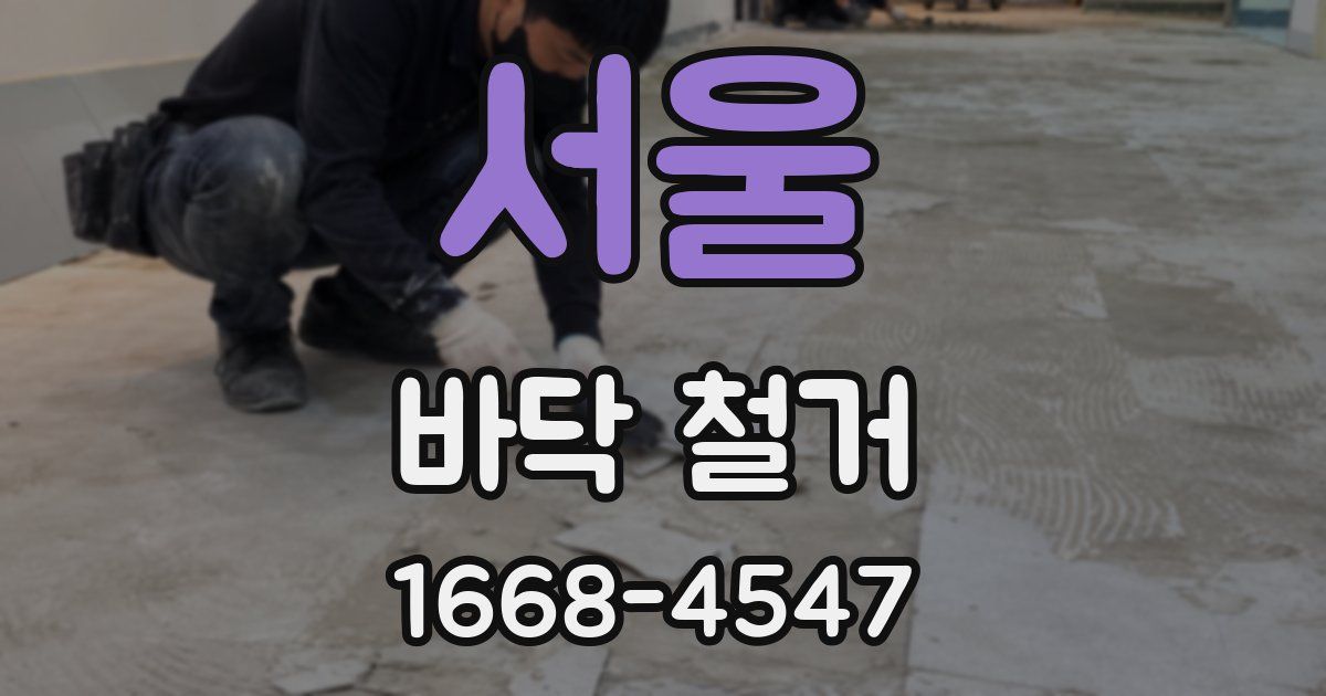 서울 바닥 철거