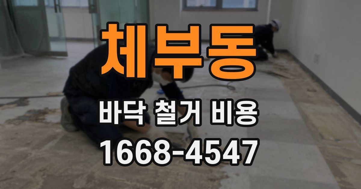 체부동 바닥 철거 비용