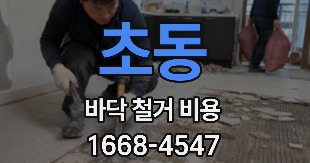 초동 바닥 철거 비용