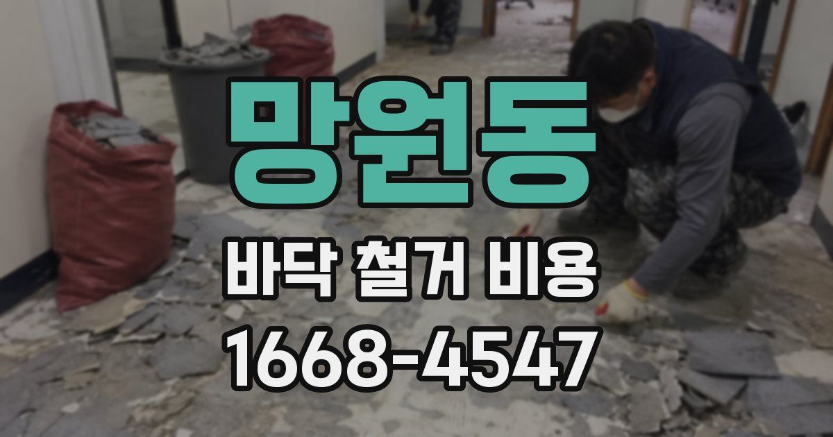 망원동 바닥 철거 비용