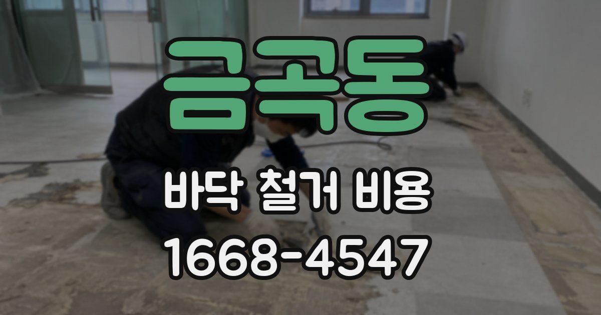 금곡동 바닥 철거 비용