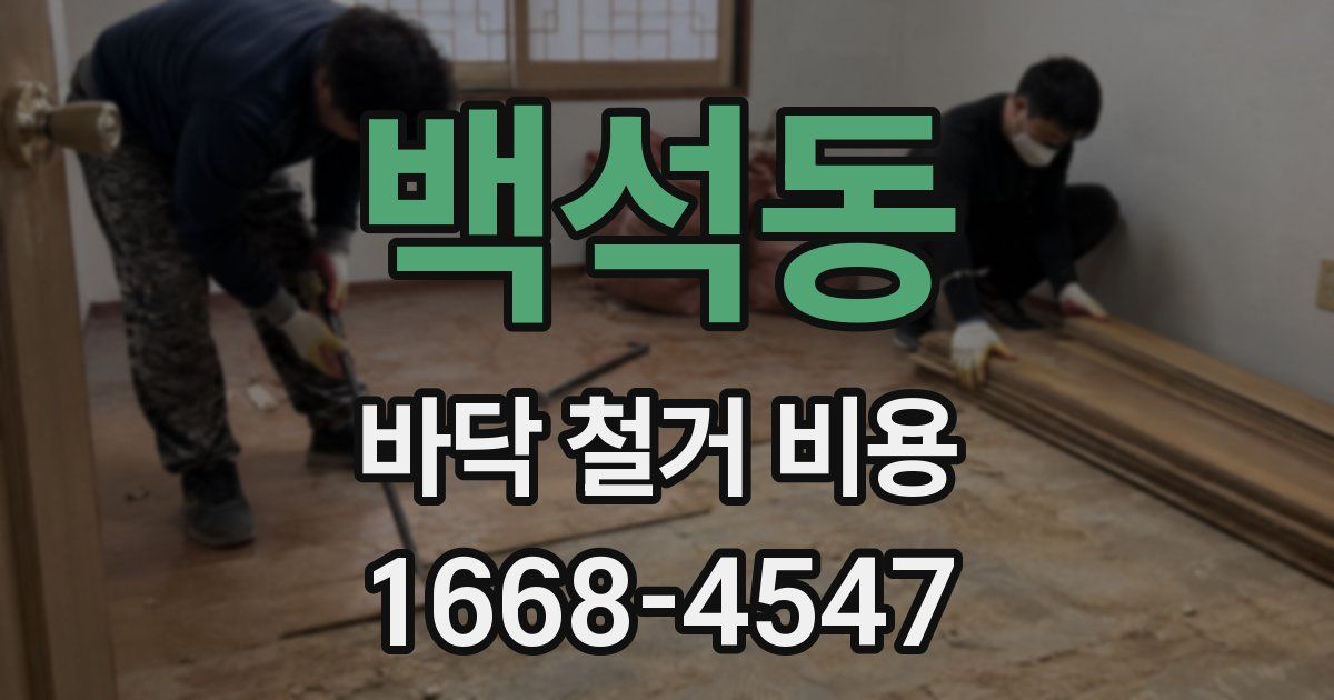 백석동 바닥 철거 비용