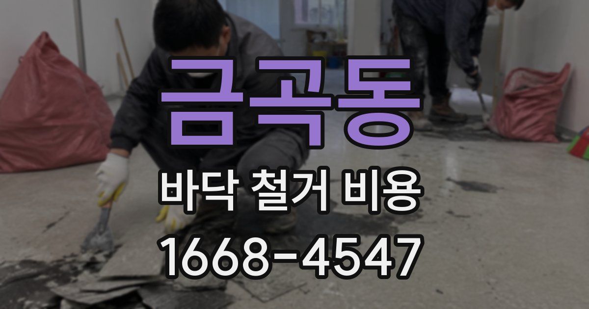 금곡동 바닥 철거 비용
