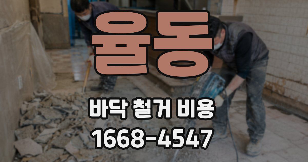 율동 바닥 철거 비용