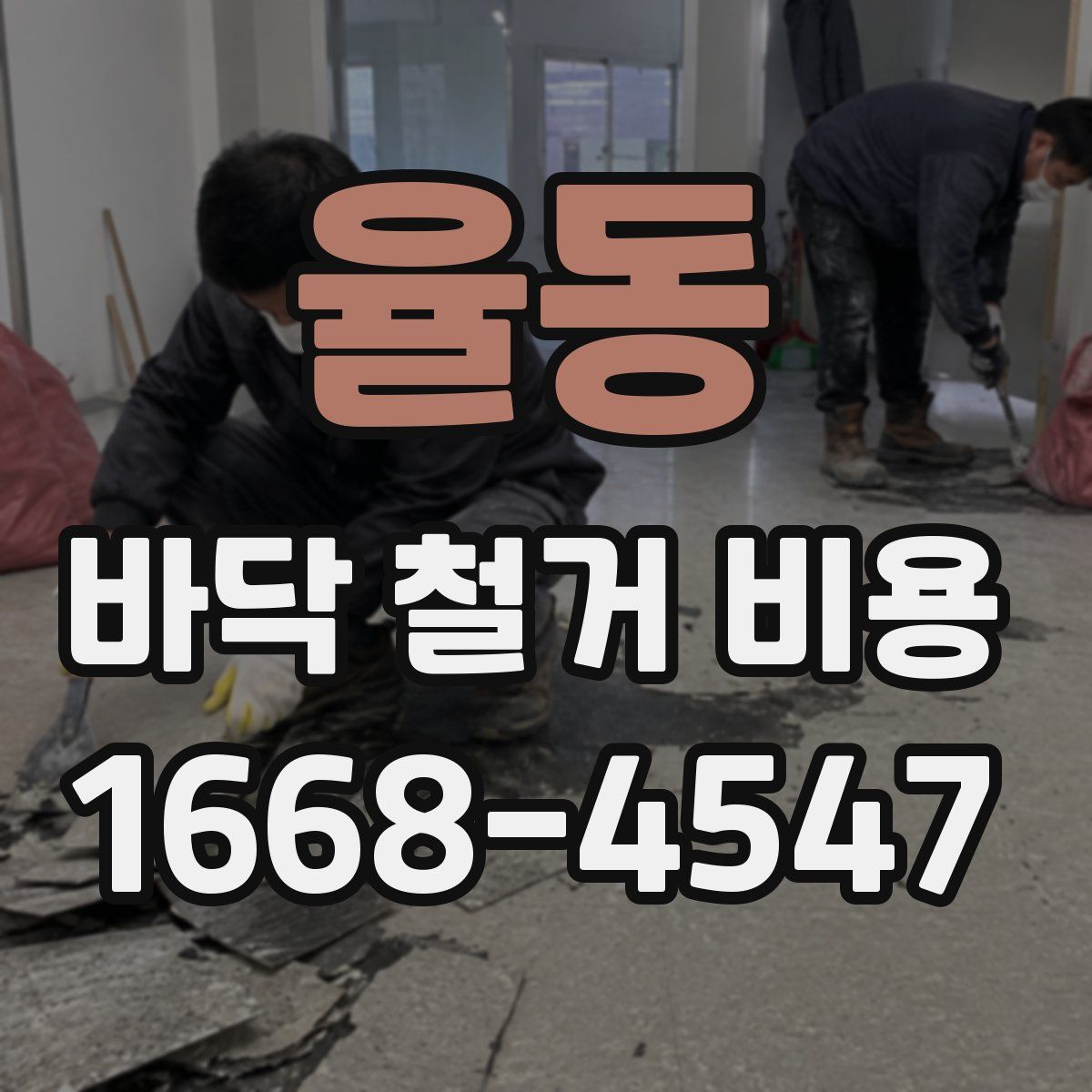 율동 바닥 철거 비용