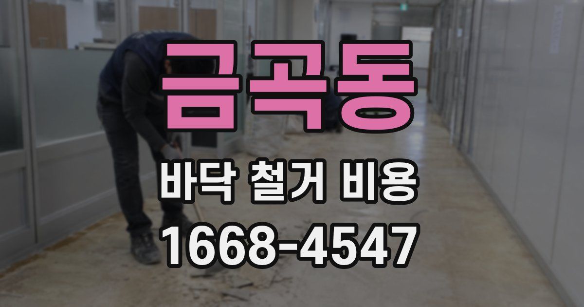 금곡동 바닥 철거 비용