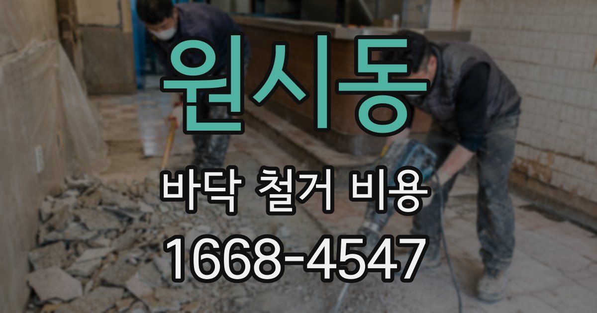 원시동 바닥 철거 비용